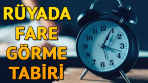 Rüyada Fare Görmek: Anlamı ve Yorumları