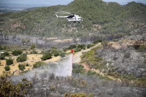 Antalya’nın Serik İlçesinde Orman Yangını: Gece Boyunca Süren Mücadele