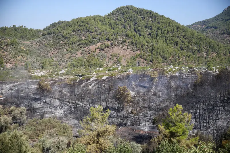 ANTALYADA ORMANLIK ALANDA CIKAN YANGINA MUDAHALE EDILDI 1