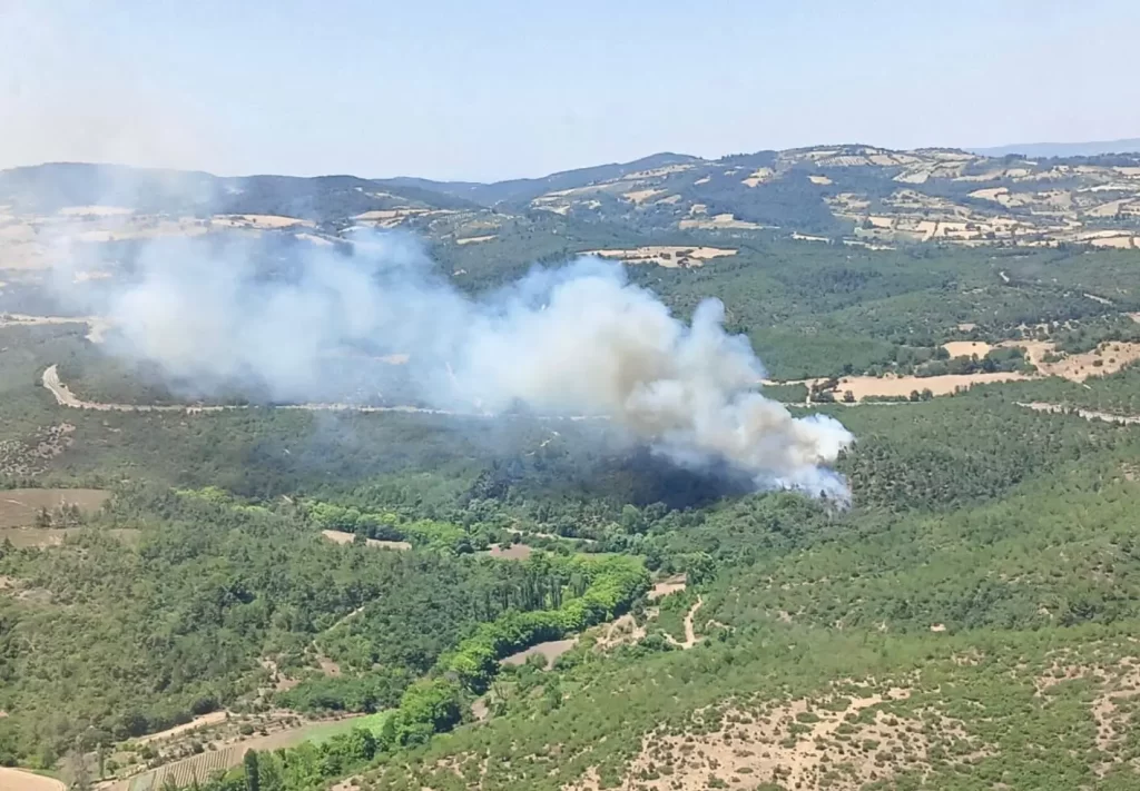Balıkesir’de Orman Yangını Paniği: Ekipler Havadan ve Karadan Müdahale Ediyor