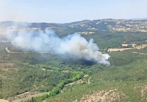 Balıkesir’de Orman Yangını Paniği: Ekipler Havadan ve Karadan Müdahale Ediyor