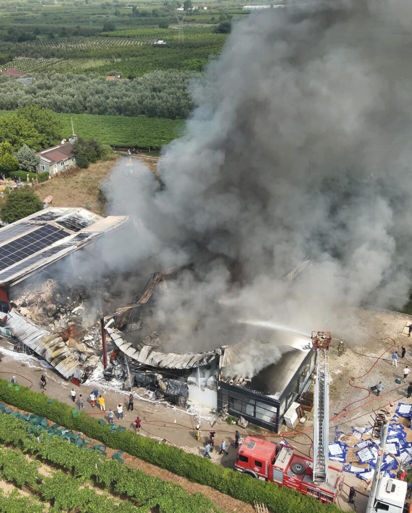 Bursa’da soğuk hava deposunda yangın çıktı. Hasar var
