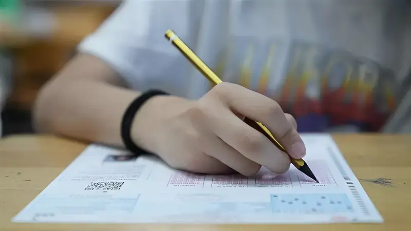 LGS Yerleştirme Sonuçları Açıklandı: Eğitimde Büyük Başarı mı, Büyük Sorun mu?
