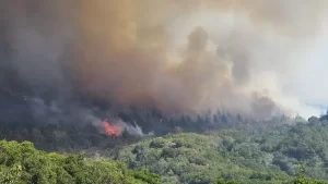 Tarihi Yarımada Alev Alev: Yangına Söndürülmeye Çalışılıyor.