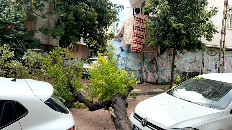 İstanbul’da Sağanak Hayatı Olumsuz Etkiledi