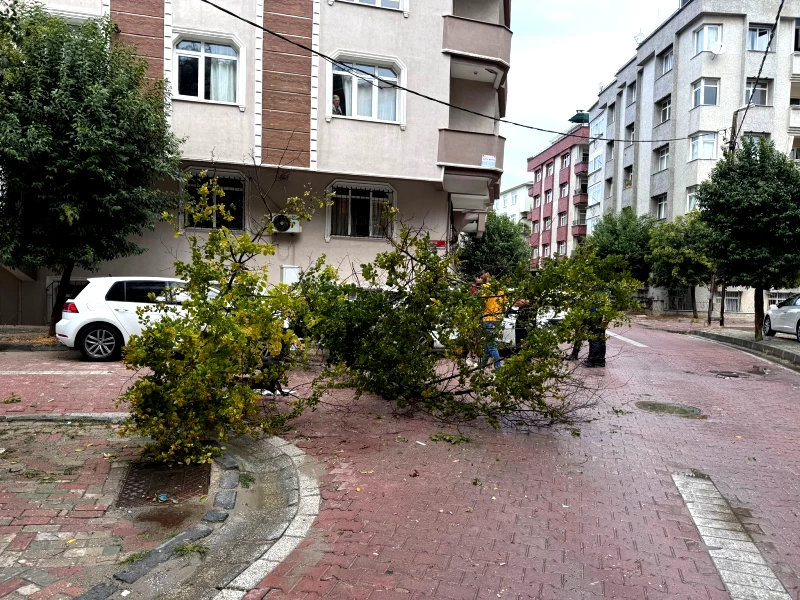 Istanbulda Saganak Hayati Olumsuz Etkiledi 2