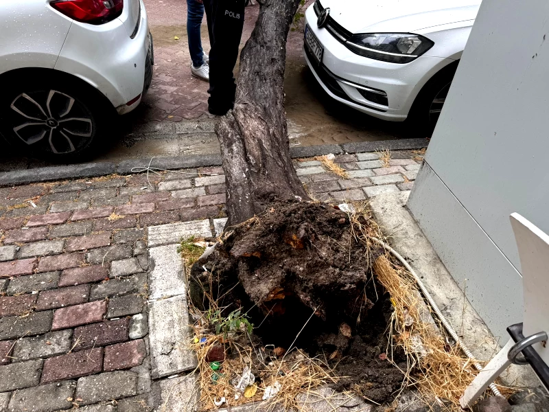 Istanbulda Saganak Hayati Olumsuz Etkiledi 3