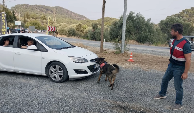 Narkotik Dedektr Kpeklerinin Katklaryla 4 Gzalt 4 1