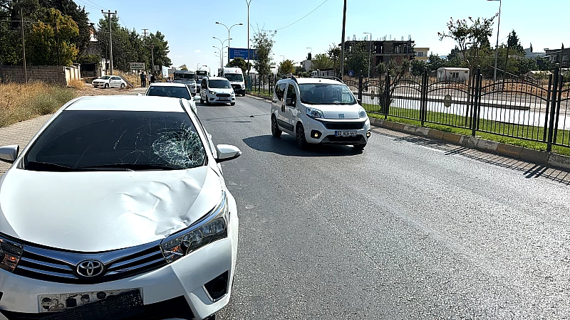 Adiyamanda Yaya Gecidinde Feci Son Bir Can Daha Trafige Kurban Gitti 2